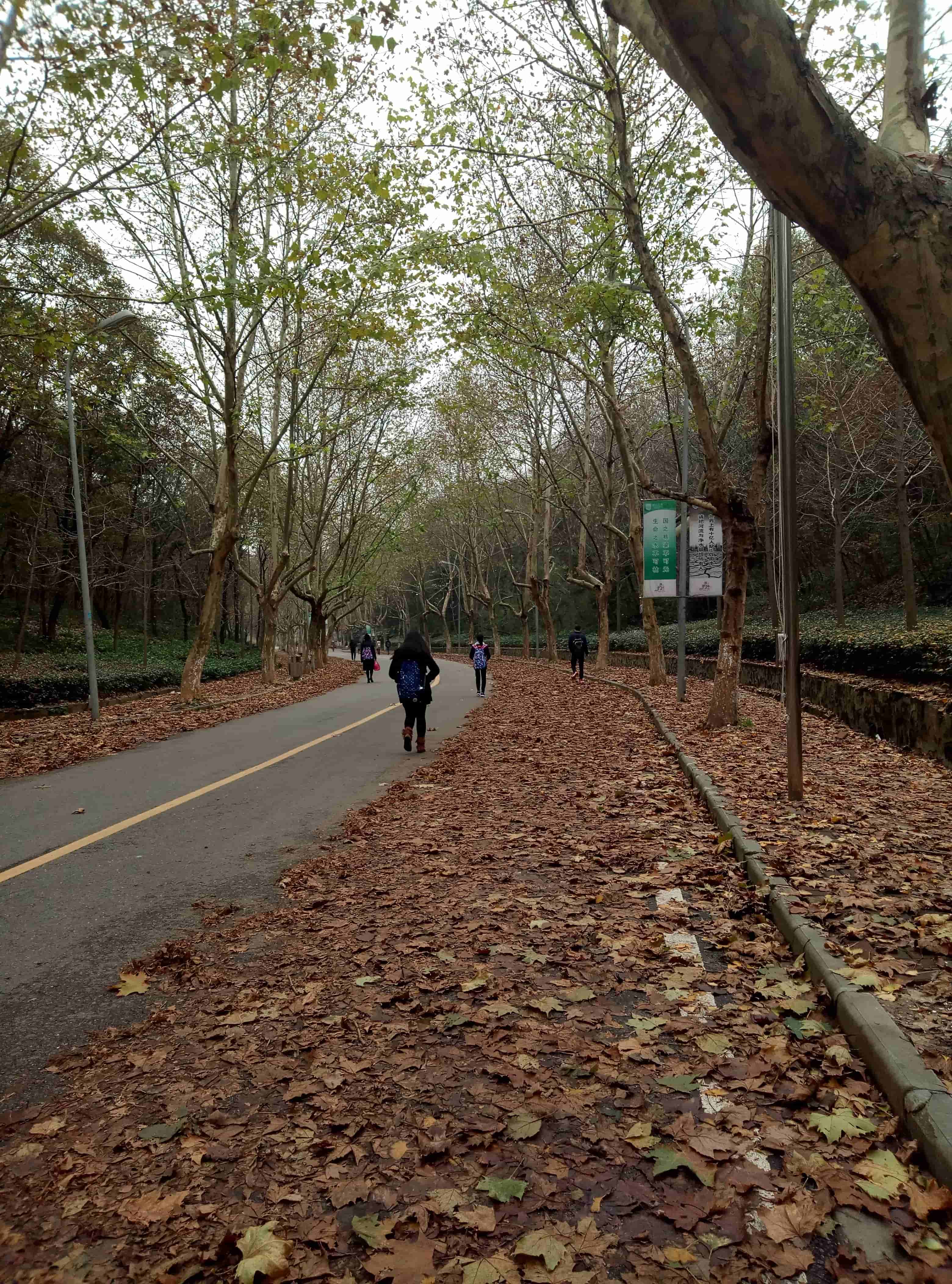 P61125-132433-tuya.jpg